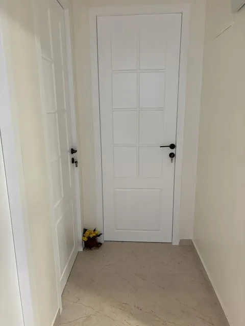 White panelled door painting